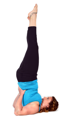 Sarvanga Asana - Yogasana Sarvangasana (690x462), Png Download