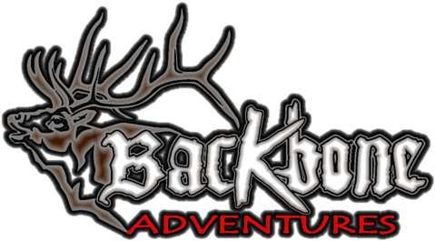 Backbone Adventures - Campsite (500x275), Png Download