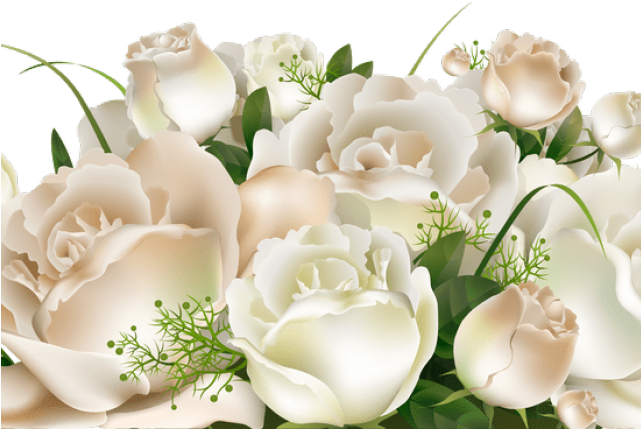 White Rose Clipart Yoville - White Roses Transparent Background (640x480), Png Download