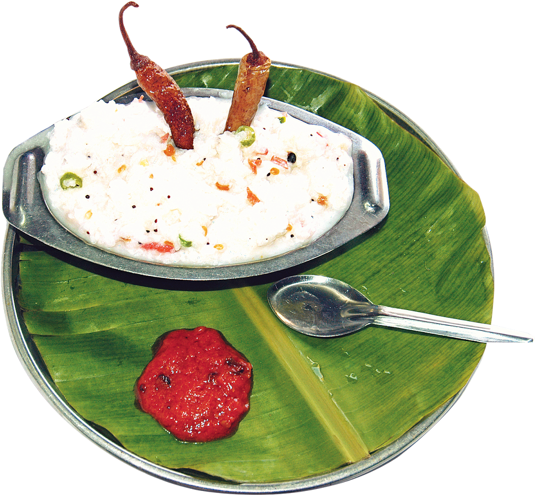 Curd Rice Stock Images, Royalty-free Images & Vectors - Curd Rice Images Png (1600x1064), Png Download