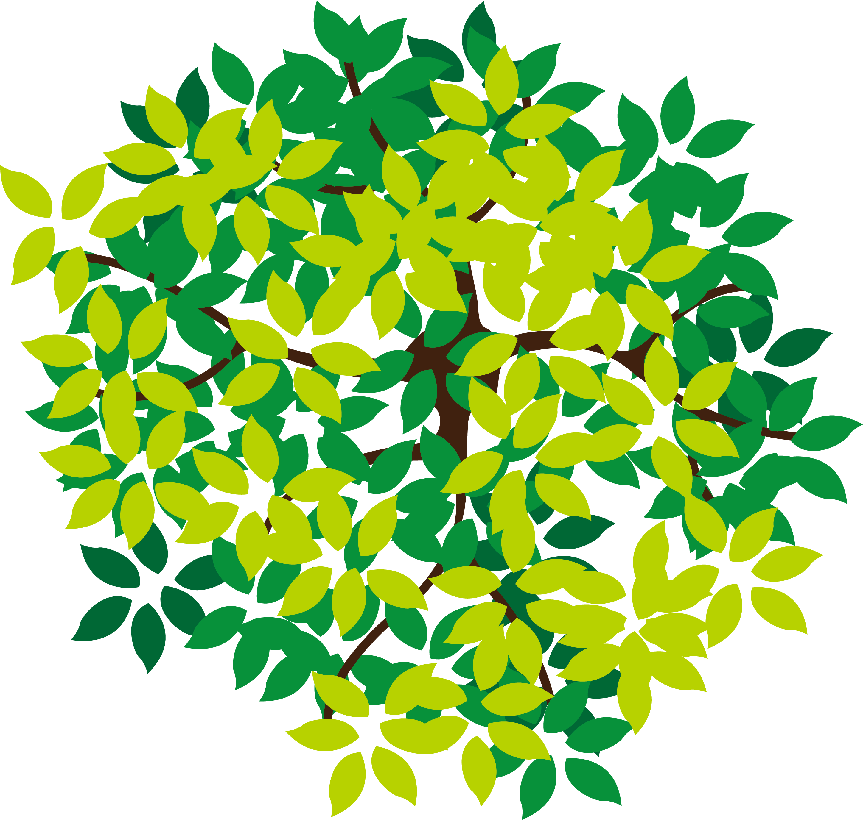 Lush Top Tree Icon Png Download Free Clipart - Tree Icon Top View Png (6250x6250), Png Download