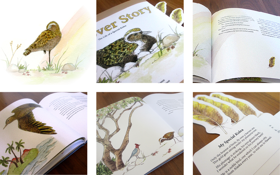 The Bird's Patterns Were Captured In A More Realistic - Calidrid (960x600), Png Download