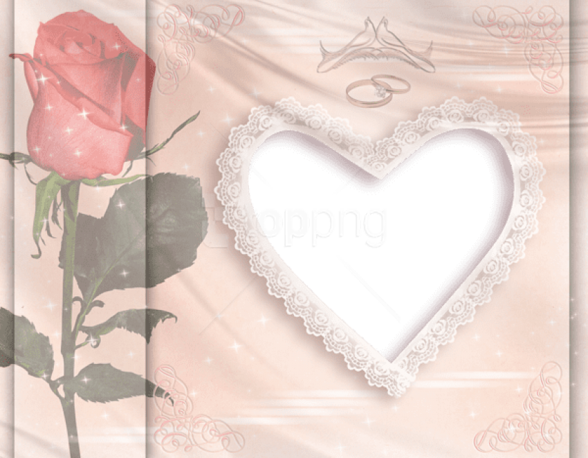 Free Png Best Stock Photos Transparent Wedding Frame - Transparente Bilder Wedding Png (850x662), Png Download
