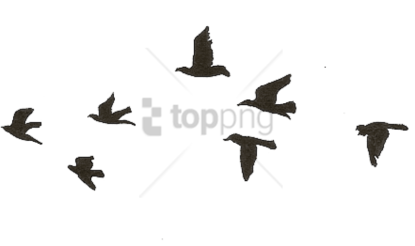 Free Png Flying Birds Gif Transparent Png Image With - Tattoo Birds (850x505), Png Download
