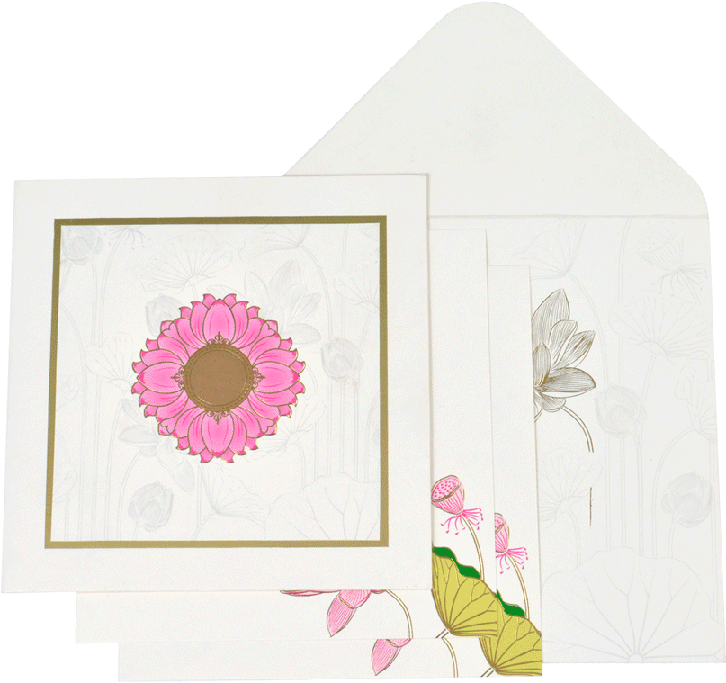 Paper, Picture Frames, Pink M, Pink, Picture Frame - Gerbera (1000x800), Png Download