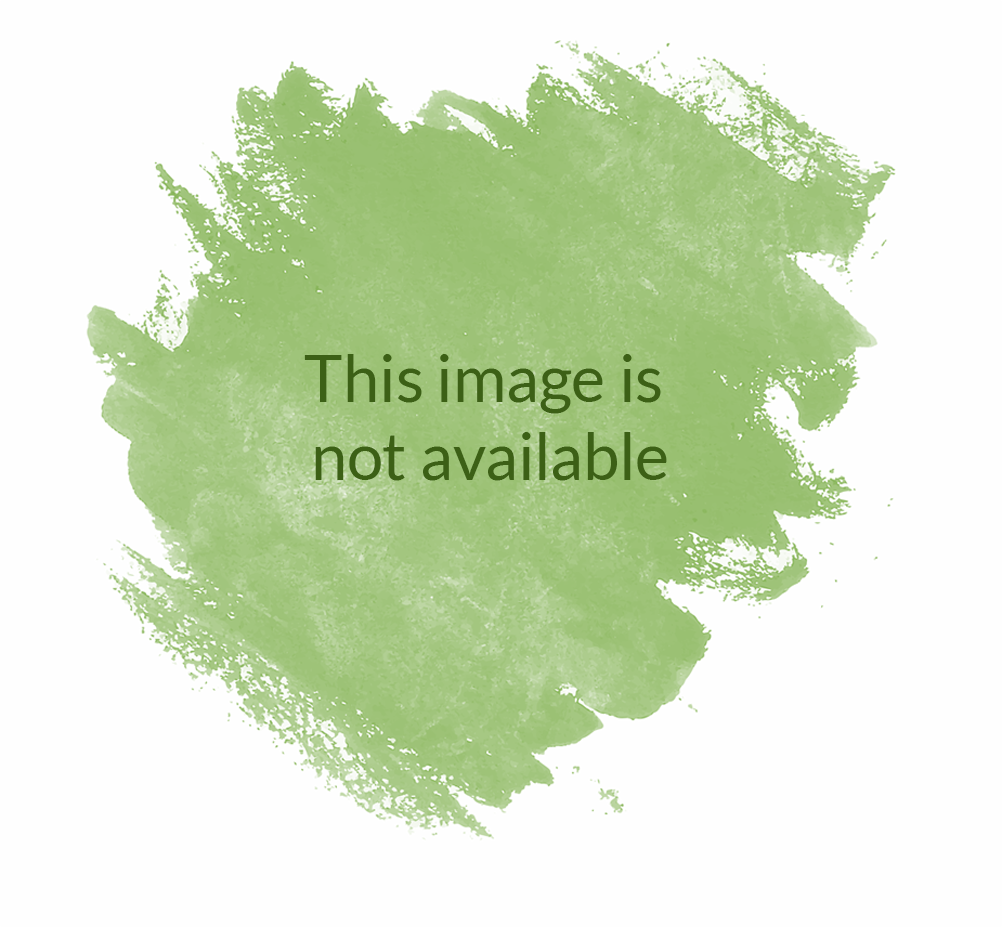 Vegetarian Drumstick - Kusurlara Takılmak Sevgiyi Öldürür (1002x927), Png Download