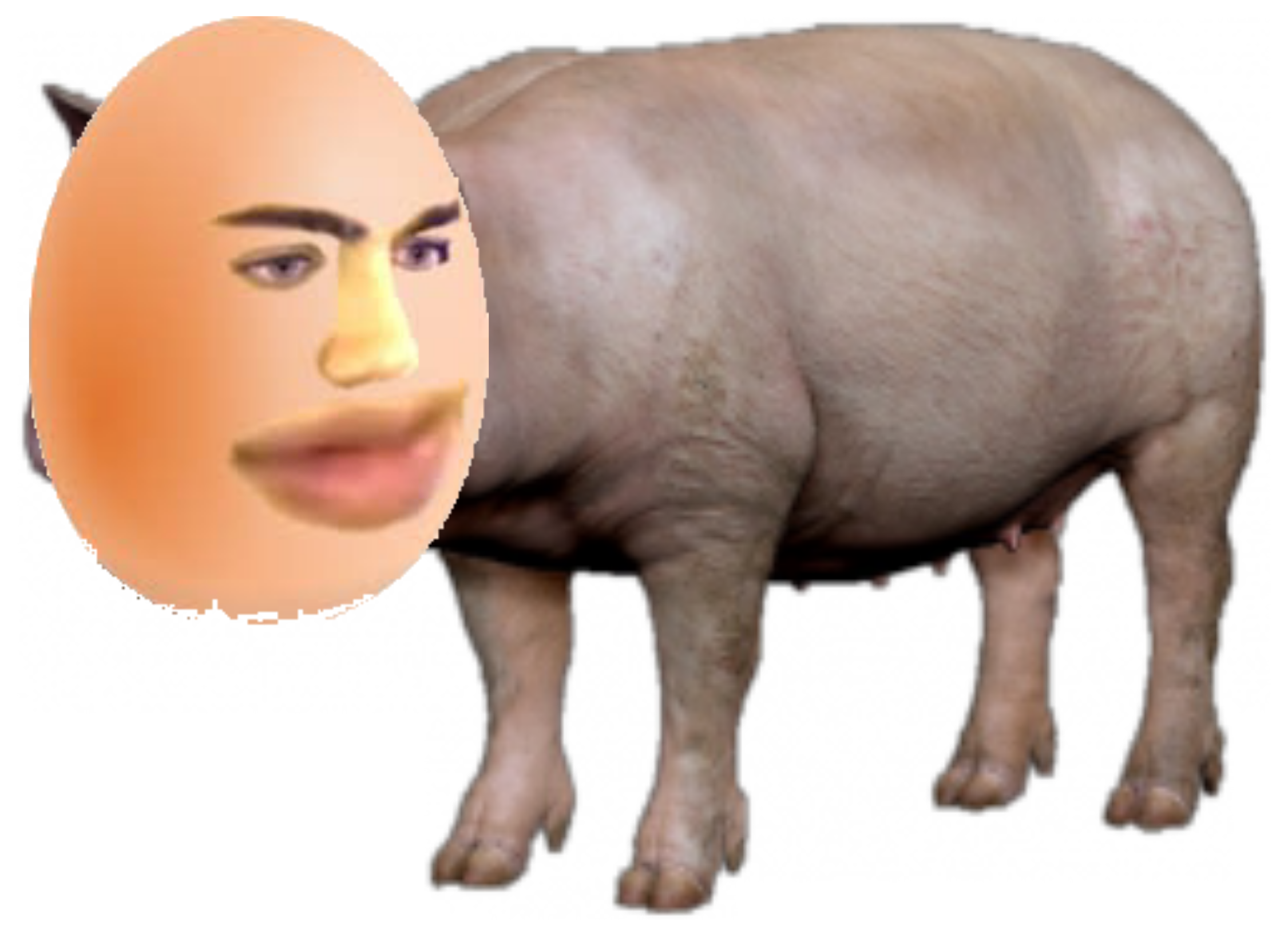 I Spent Hours Making This Mizkifpig Emote Let Me Know - Domestic Pig (2251x1637), Png Download