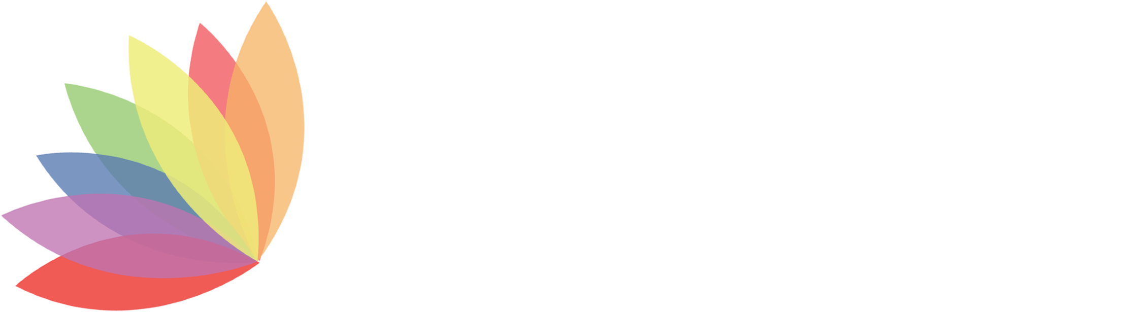 At Spectrum Creative Arts, We Pride Ourselves On Offering - Tan (2400x725), Png Download