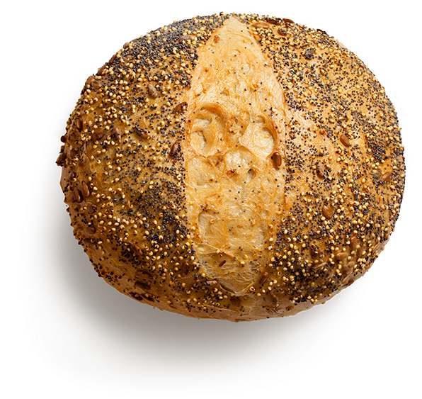 Sourdough (778x645), Png Download