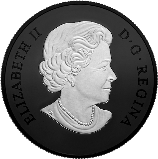 Nocturnal By Nature - Coin (570x570), Png Download