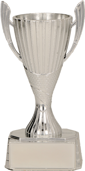 Trophy (570x630), Png Download