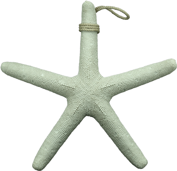 Marine White Wooden Sea Star 39cm By Stories - Pendant (800x800), Png Download