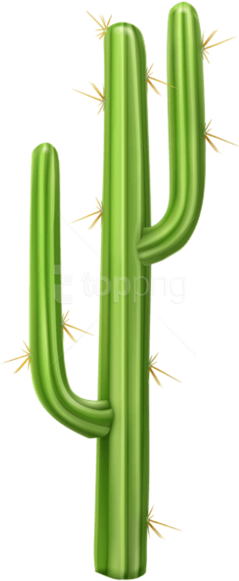 Download Cactus Png Images Background - Cactus Transparent Background Clipart (480x1181), Png Download