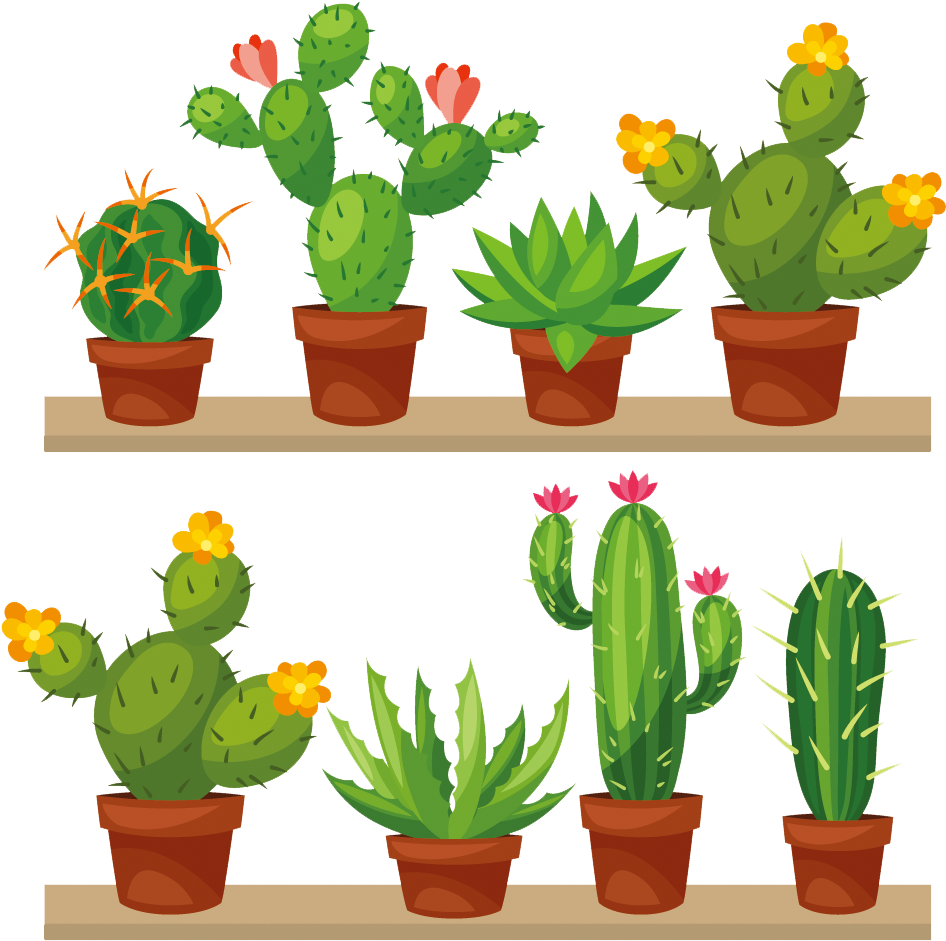 Cactus Plant Vector Png Image - Succulents Clip Art Free (1000x1000), Png Download