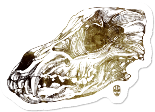 Animal Skull $3 - Skull (650x650), Png Download