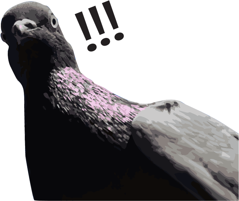 #shitaintright - It's Christinith - Rock Dove (1172x781), Png Download