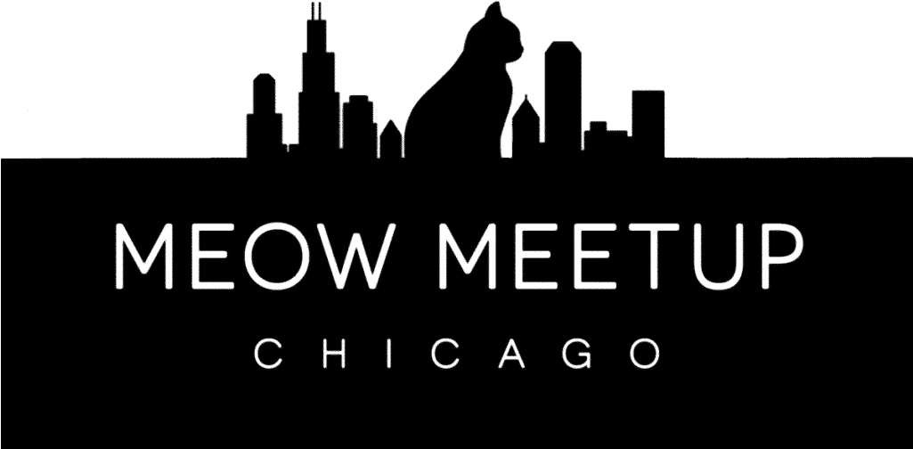 Talent - Meow Meetup Chicago (1024x543), Png Download