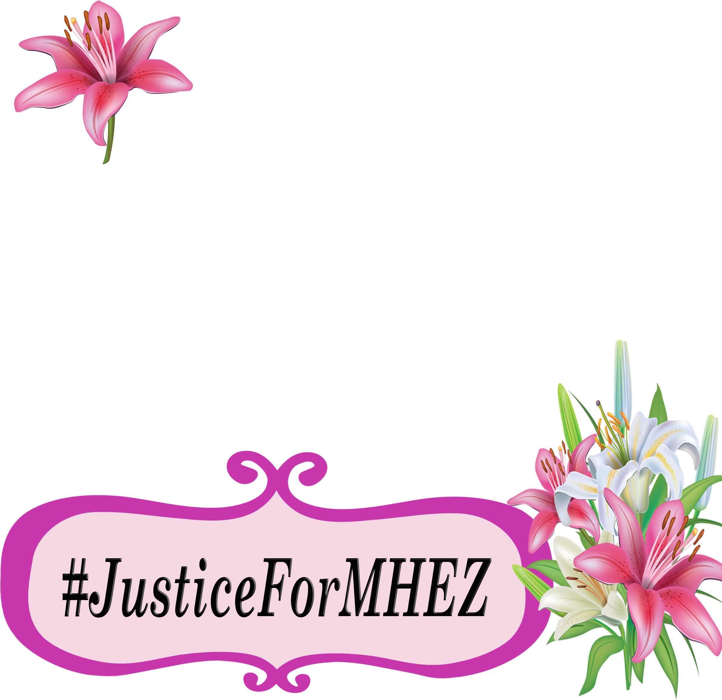 Contribute To Isupportcause - Lily (2396x2396), Png Download