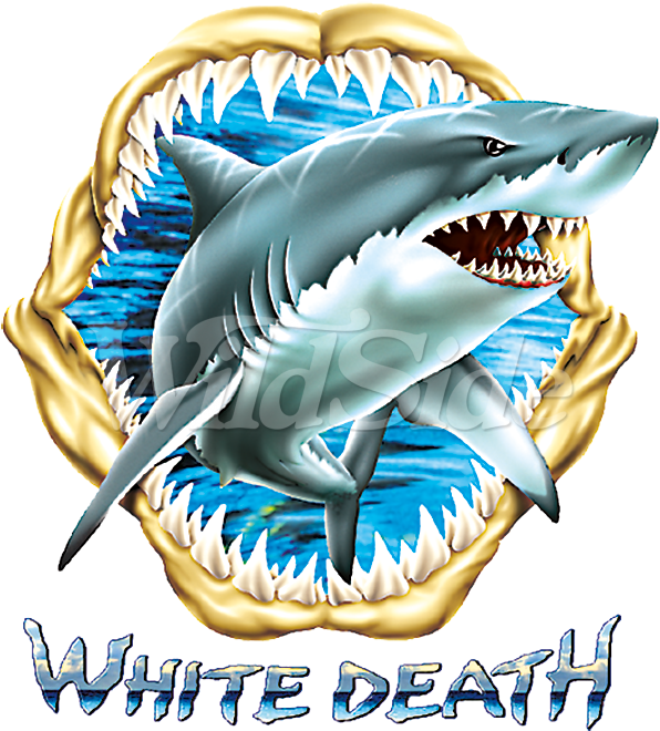 White Death Shark - Shark (675x675), Png Download