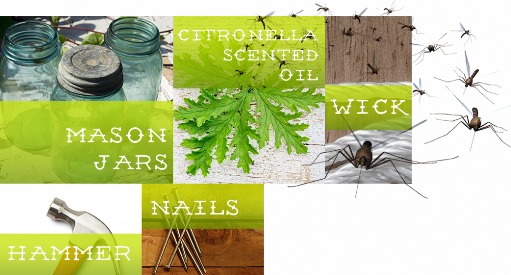 Some Of The Supplies Listed Below Might Already Be - Insect (1004x540), Png Download