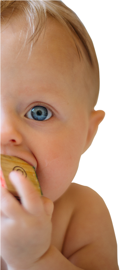 Baby (545x859), Png Download