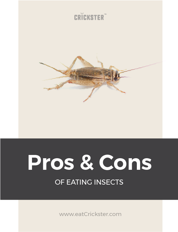 Should We All Eat Bugs In This Post You're Going To - Acheta Domesticus (600x900), Png Download