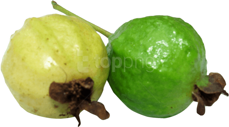 Free Png Guava Png Images Transparent - Guava Format Png (850x505), Png Download