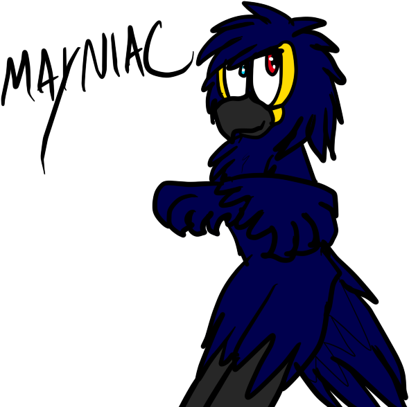 Mayniac Macaw - Cartoon (800x600), Png Download