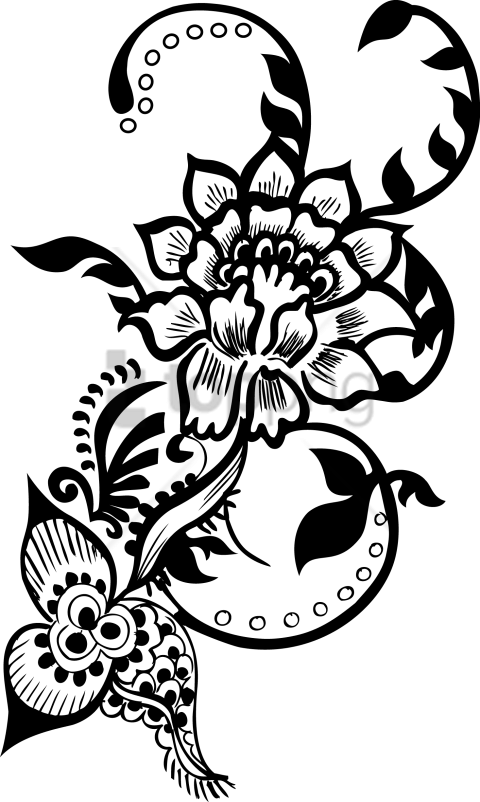 Free Png Decorative Line Png Png Image With Transparent - Floral Decorative Vector Png (480x802), Png Download