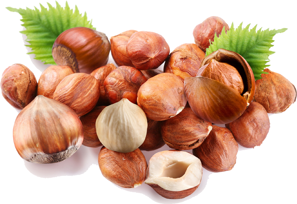 Findik - Shelled Hazelnut (1024x697), Png Download
