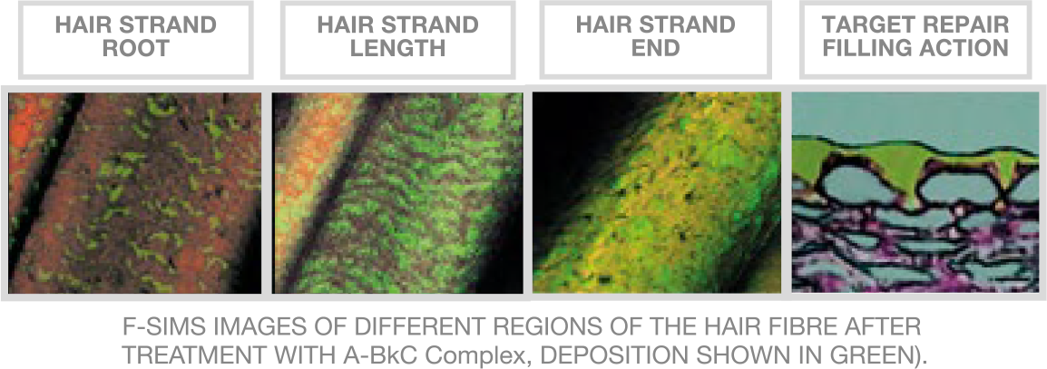 Prevents Split Ends • Moisturizes & Emulsifies Dry - Hand To Hand Combat (1154x407), Png Download