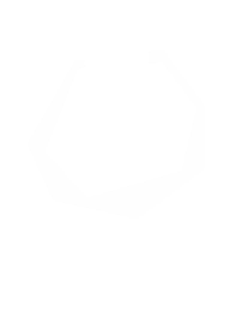 Have An Experience Of A Lifetime - Emblem (788x1079), Png Download