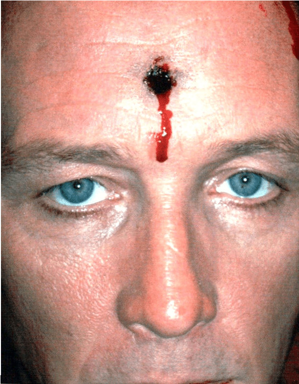 Special Effects Dana Mice Hamel Celebrity Makeup Artist - Visual Arts (1164x779), Png Download