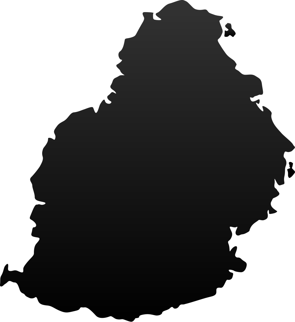 Us Map Outline Vector - Mauritius Map Outline (1000x1091), Png Download
