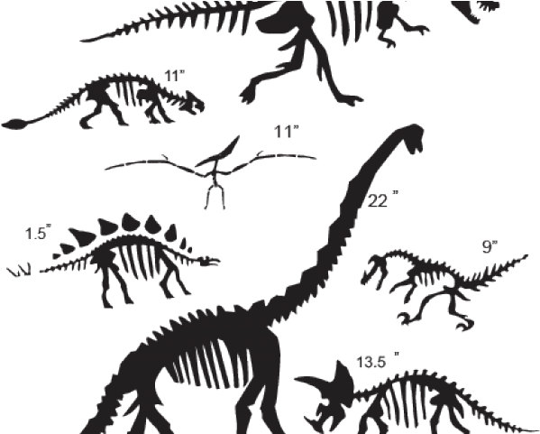Drawn Dinosaur Fossil - Dinosaur Fossils Clipart Black And White (640x480), Png Download