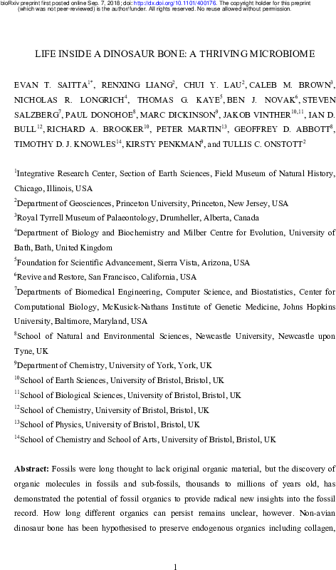 Pdf - Understanding Culture Is Important In Determining The (595x842), Png Download