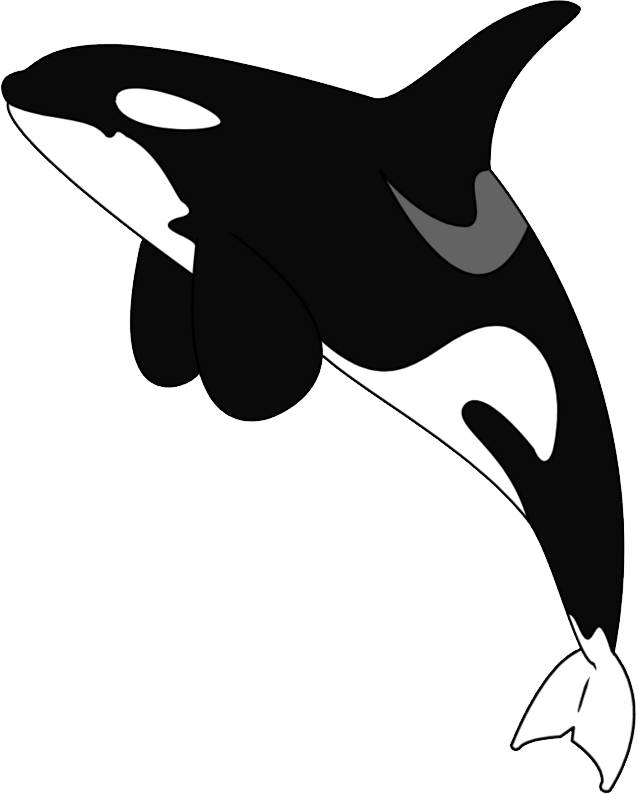 Orca Tattoo (637x794), Png Download