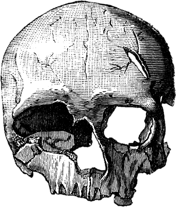 Caveiras Em Png - Calavera Png Sin Fondo (615x732), Png Download