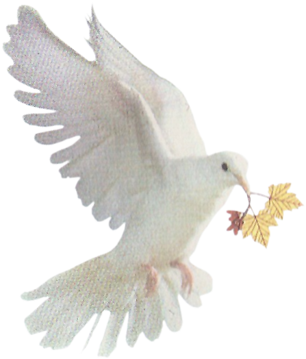 Pompas Funebres De Gordón - Pigeons And Doves (455x542), Png Download