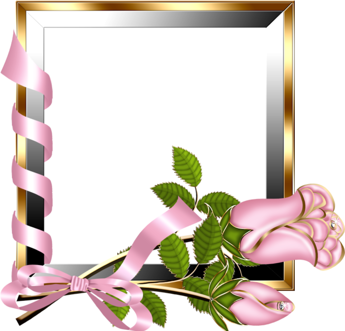 Gold And Silver Transparent Frame With Light Pink Roses - Beautiful Frames For Photo Editing Online (700x700), Png Download