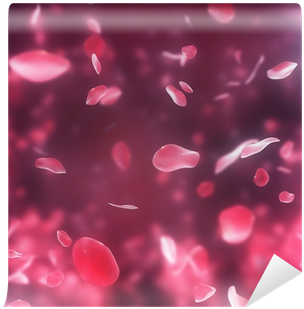Valentine Background With Falling Red Rose Petals On - Red Roses Falling Hd (400x400), Png Download