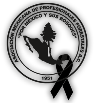 Ampf-moño Negro - “ - La Escuela Manuel Bonilla Villanueva Cortes (350x350), Png Download