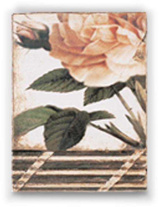 Blush - Monaco - Fall Collection - Sid Dickens Originals - Garden Roses (552x720), Png Download