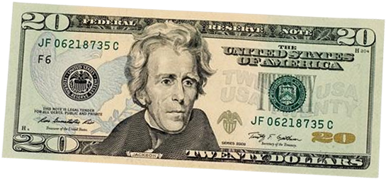 20 Dollar Bill Png - 20 Dollar Bill Transparent (800x400), Png Download
