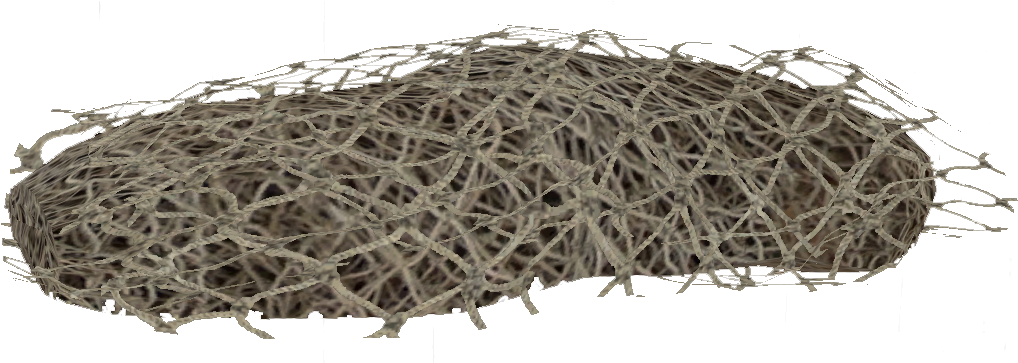 Portable Network Graphics (1047x362), Png Download