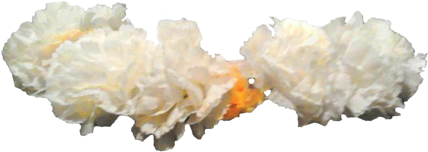 Transparent Picture Of A Flower Crown I Made For Myself - Flower (880x392), Png Download