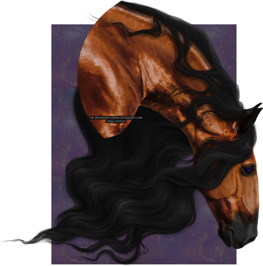 This Beautiful Gal Belongs To Befera Nirvana - Stallion (889x899), Png Download
