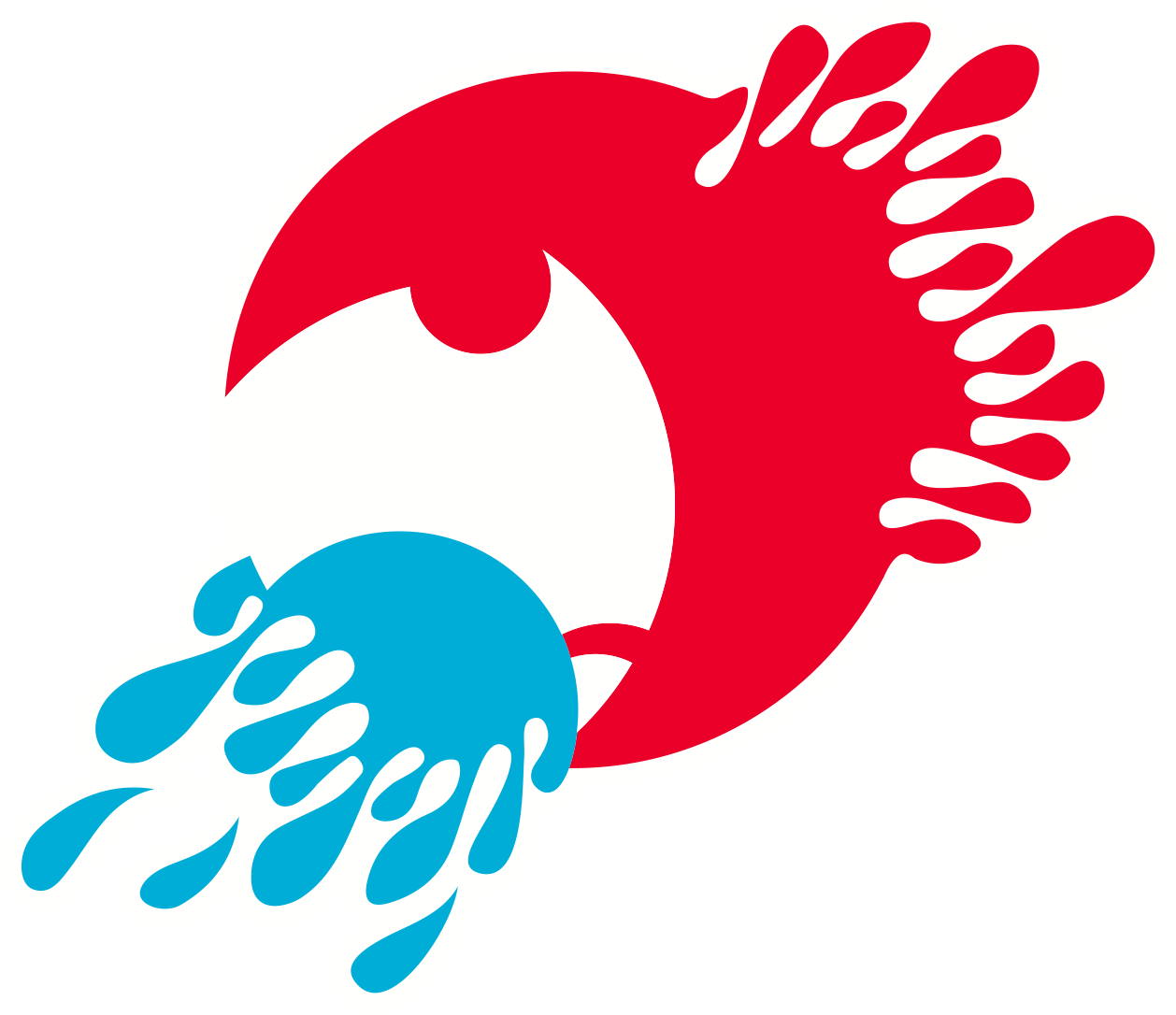 Fireball World Championships 2022 At Royal Geelong - Royal Geelong Yacht Club (1258x1086), Png Download