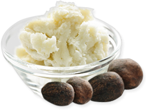 Shea Butter Oil Png - Coconut Oil And Shea Butter (500x500), Png Download