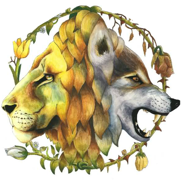 Amazing Collaboration Of Lion And Wolf Tattoo - Tattoos Half Lion Half Wolf (600x587), Png Download